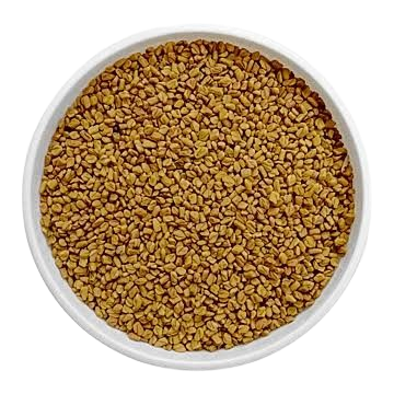 الحلبة